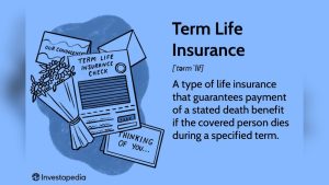 Read more about the article Term Life Insurance: Affordable Protection for Your Family’s Future